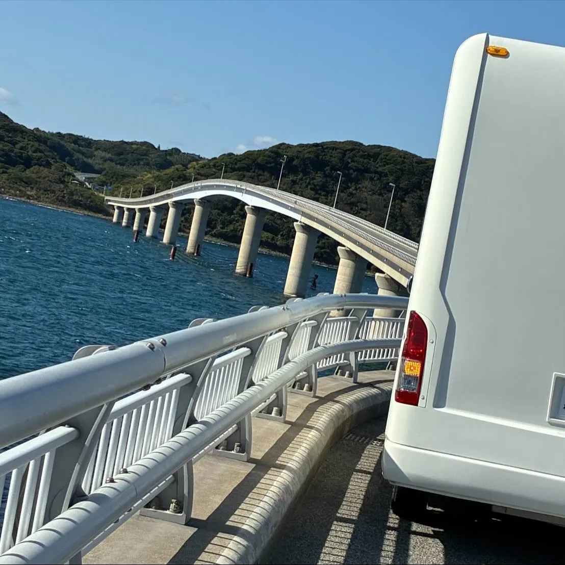 レンタル中のお客様から秋のお裾分け🍁