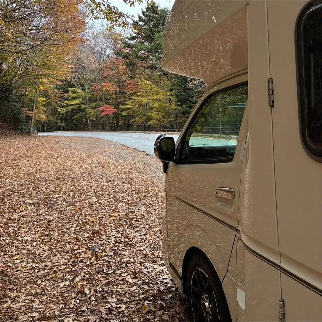 紅葉巡りにも最適🍁