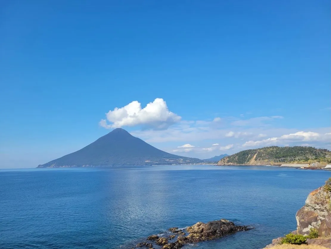 お客様から素敵すぎる一枚をいただきました✨
