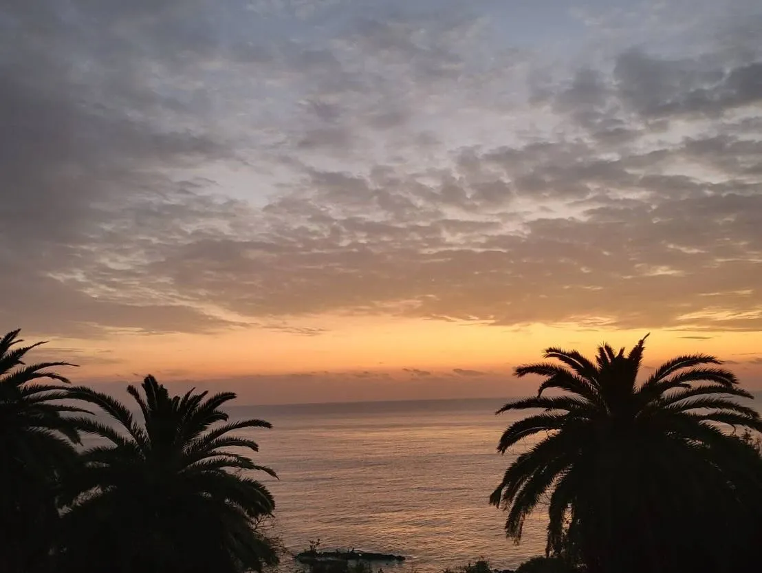 お客様から素敵すぎる一枚をいただきました✨