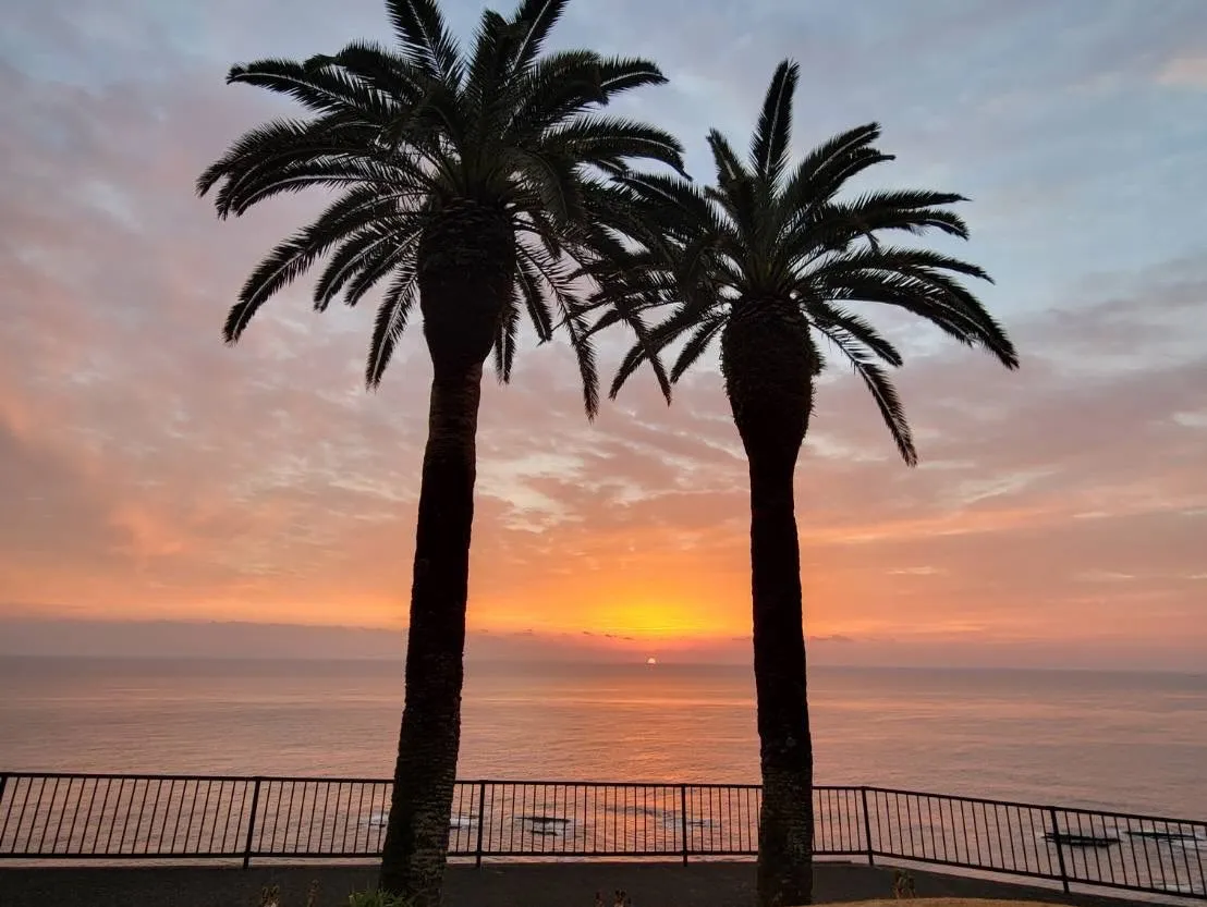 キャンピングカーでレンタル福岡発宮崎旅行を家族カップル2人旅で楽しむ実践ガイド