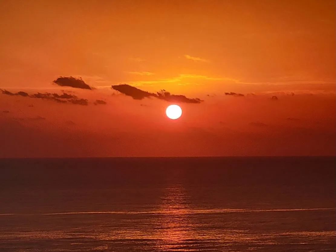 お客様から素敵すぎる一枚をいただきました✨